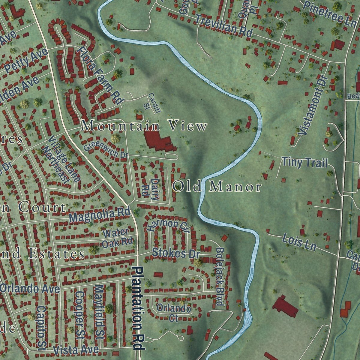 Close-up of the map of Hollins, Virginia print showing street and building detail