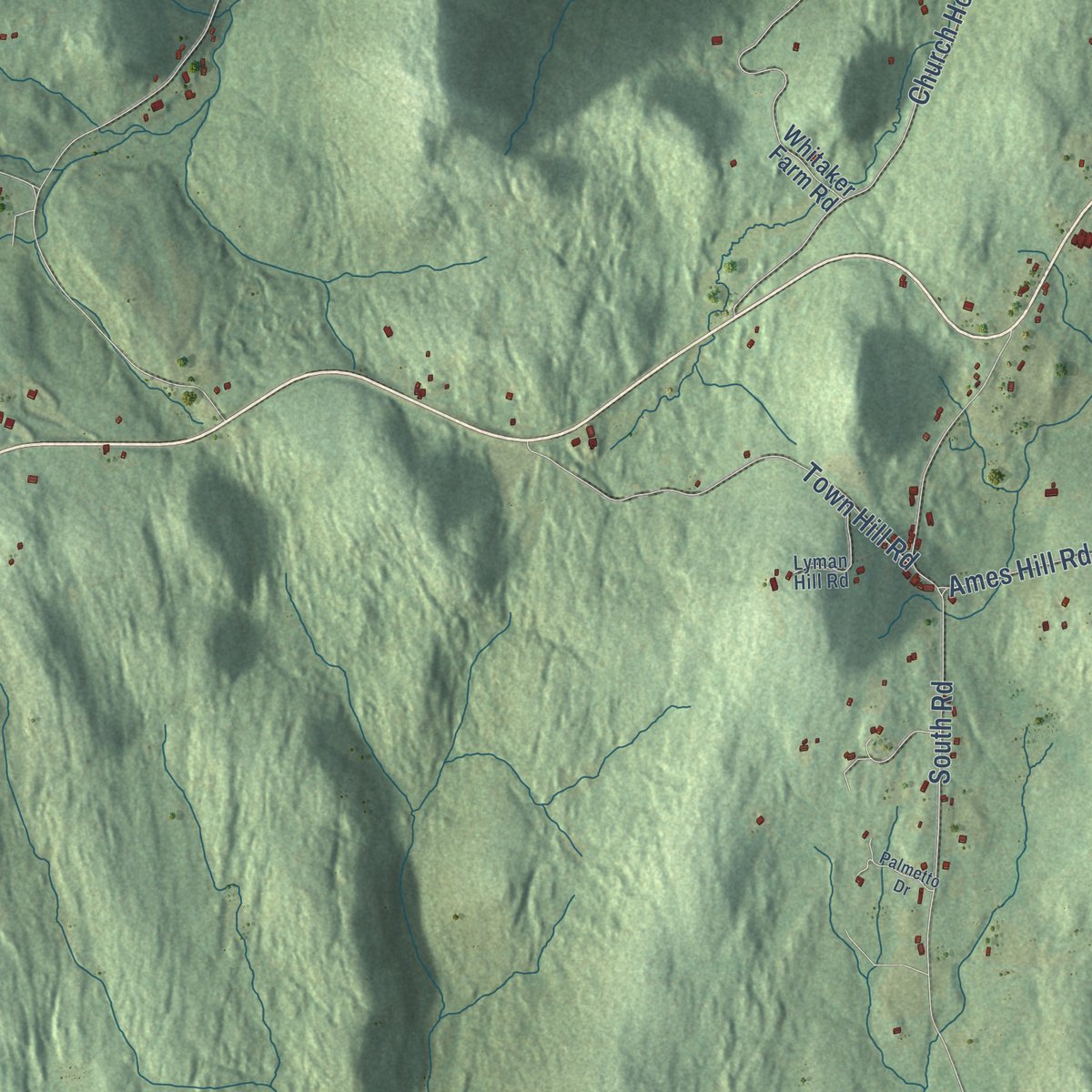 Close-up of the map of Marlboro, Vermont print showing street and building detail