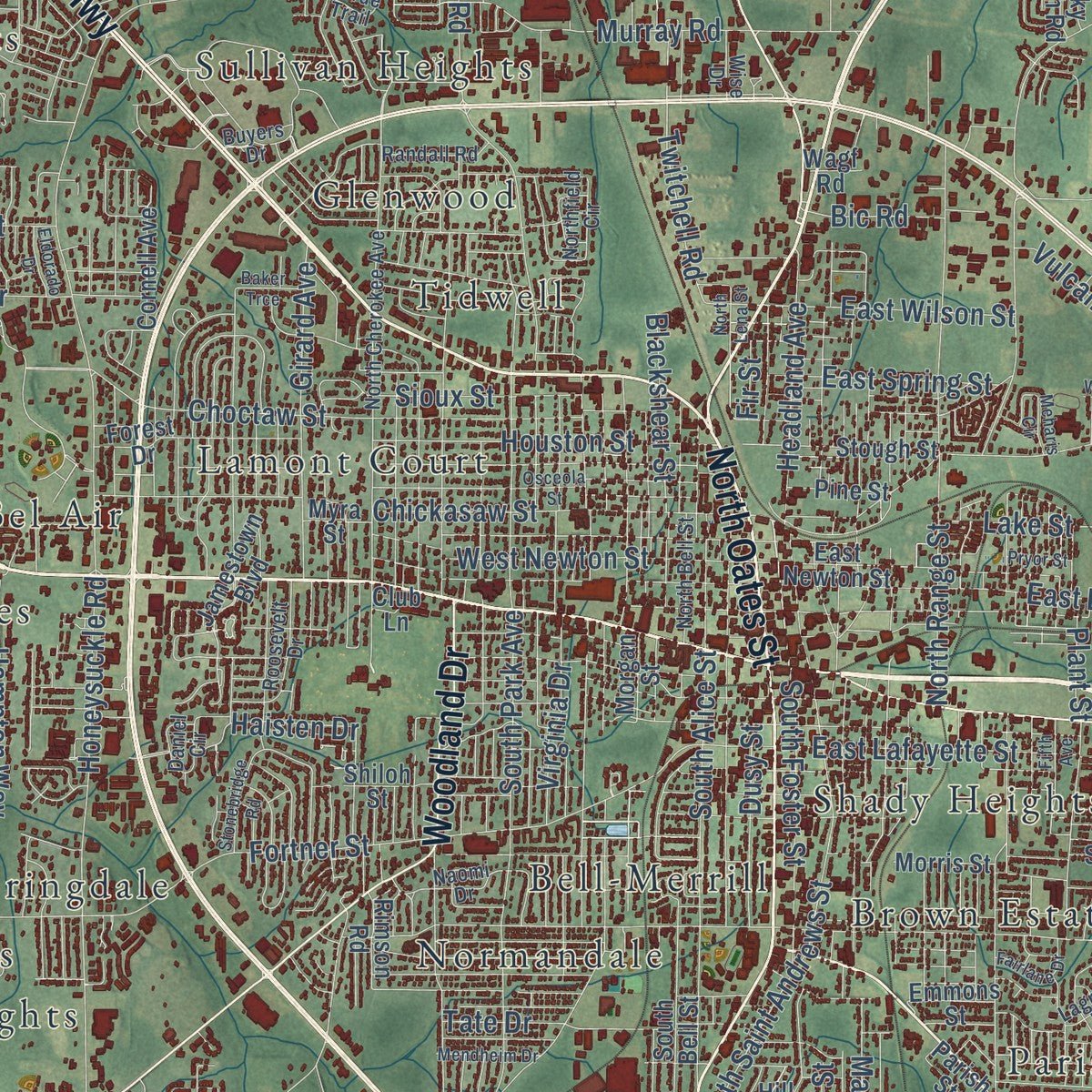 Close-up of the map of Dothan, Alabama print showing street and building detail