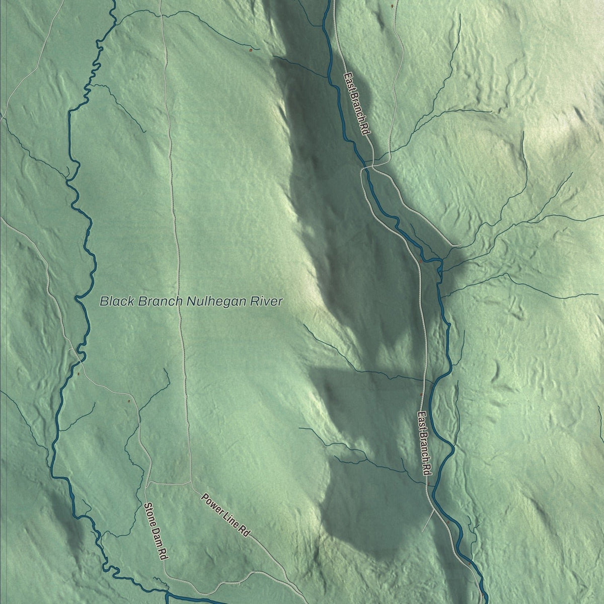 Close-up of the map of Bloomfield, Vermont print showing streets and neighborhoods