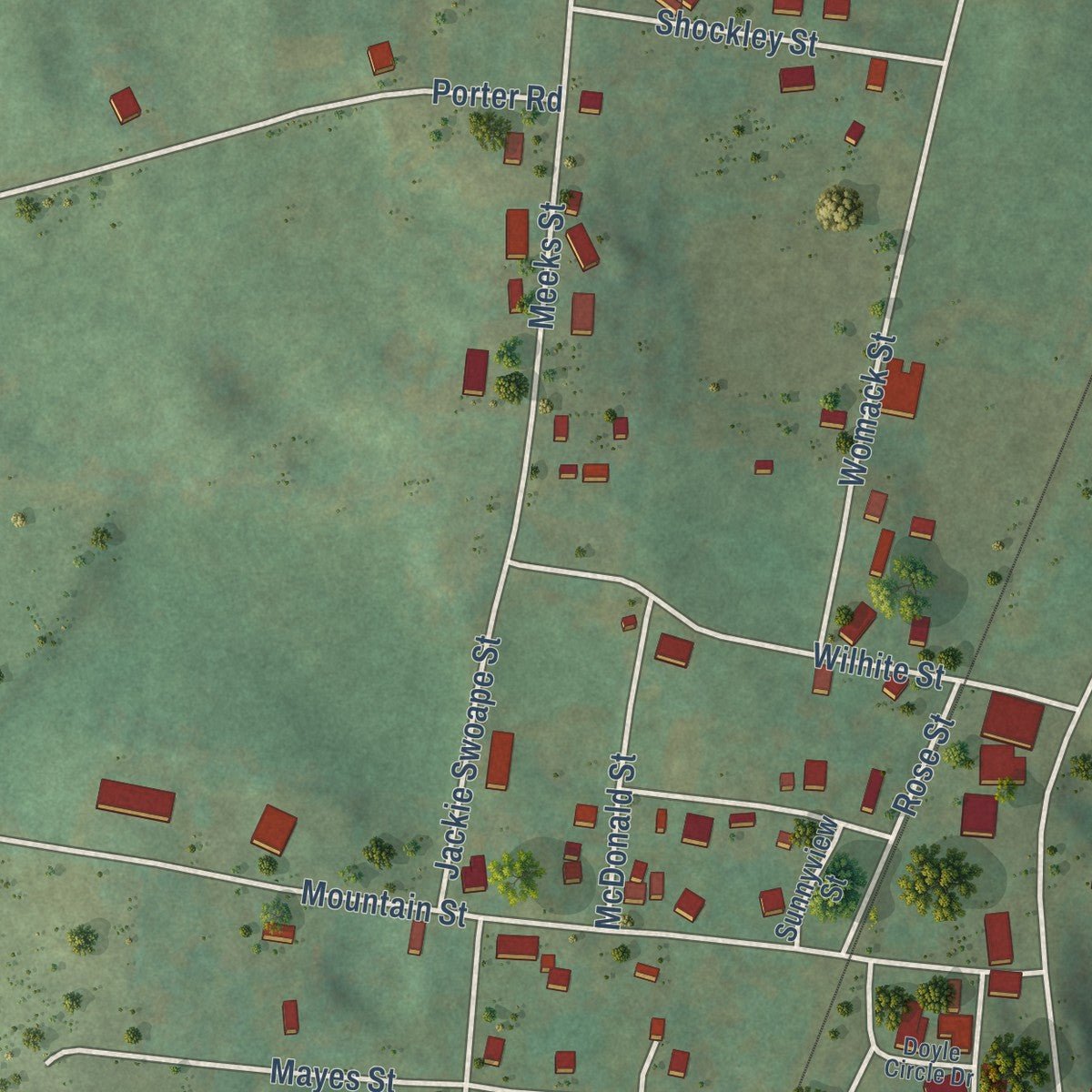 Close-up of the map of Doyle, Tennessee print showing street and building detail
