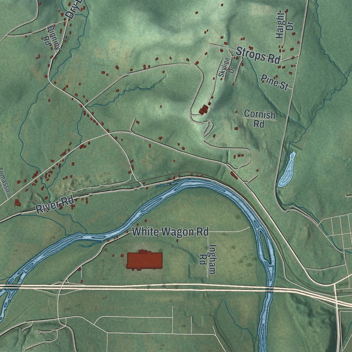 Close-up of the map of Chemung, New York print showing street and building detail