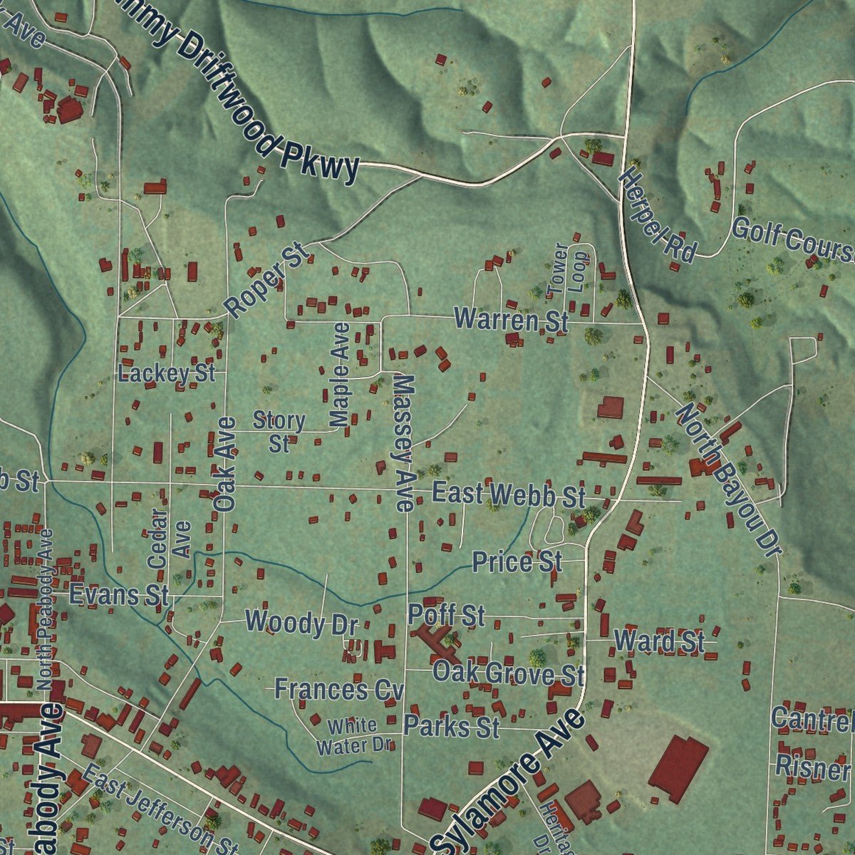 Close-up of the map of Mountain View, Arkansas print showing street and building detail