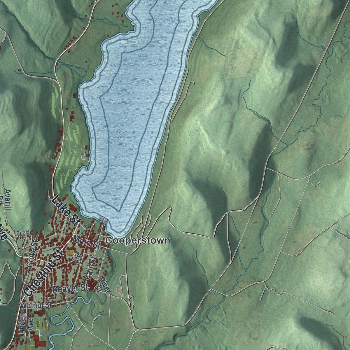 Close-up of the map of Otsego, New York print showing street and building detail