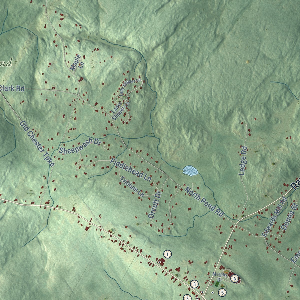 Close-up of the map of Chester, New Hampshire print showing street and building detail