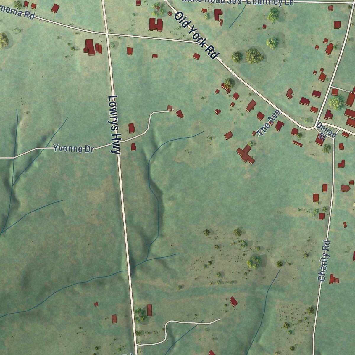 Close-up of the map of Lowrys, South Carolina print showing street and building detail