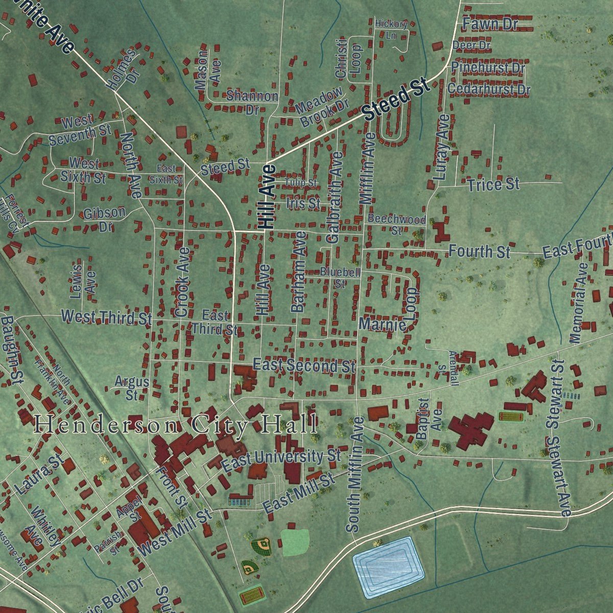 Close-up of the map of Henderson, Tennessee print showing street and building detail