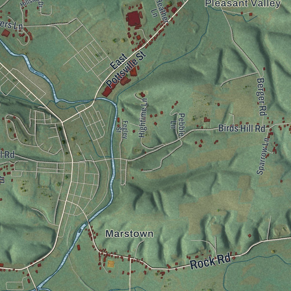 Close-up of the map of Pine Grove, Schuylkill County, Pennsylvania print showing street and building detail