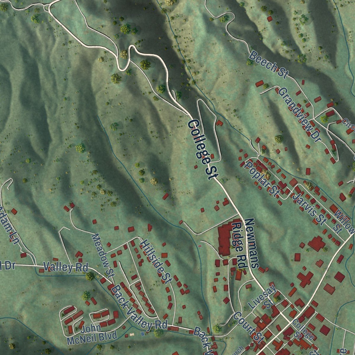 Close-up of the map of Sneedville, Tennessee print showing street and building detail