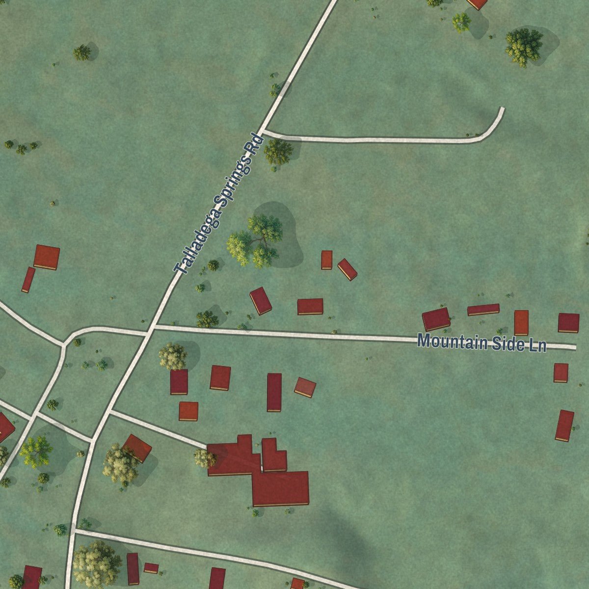 Close-up of the map of Talladega Springs, Alabama print showing street and building detail