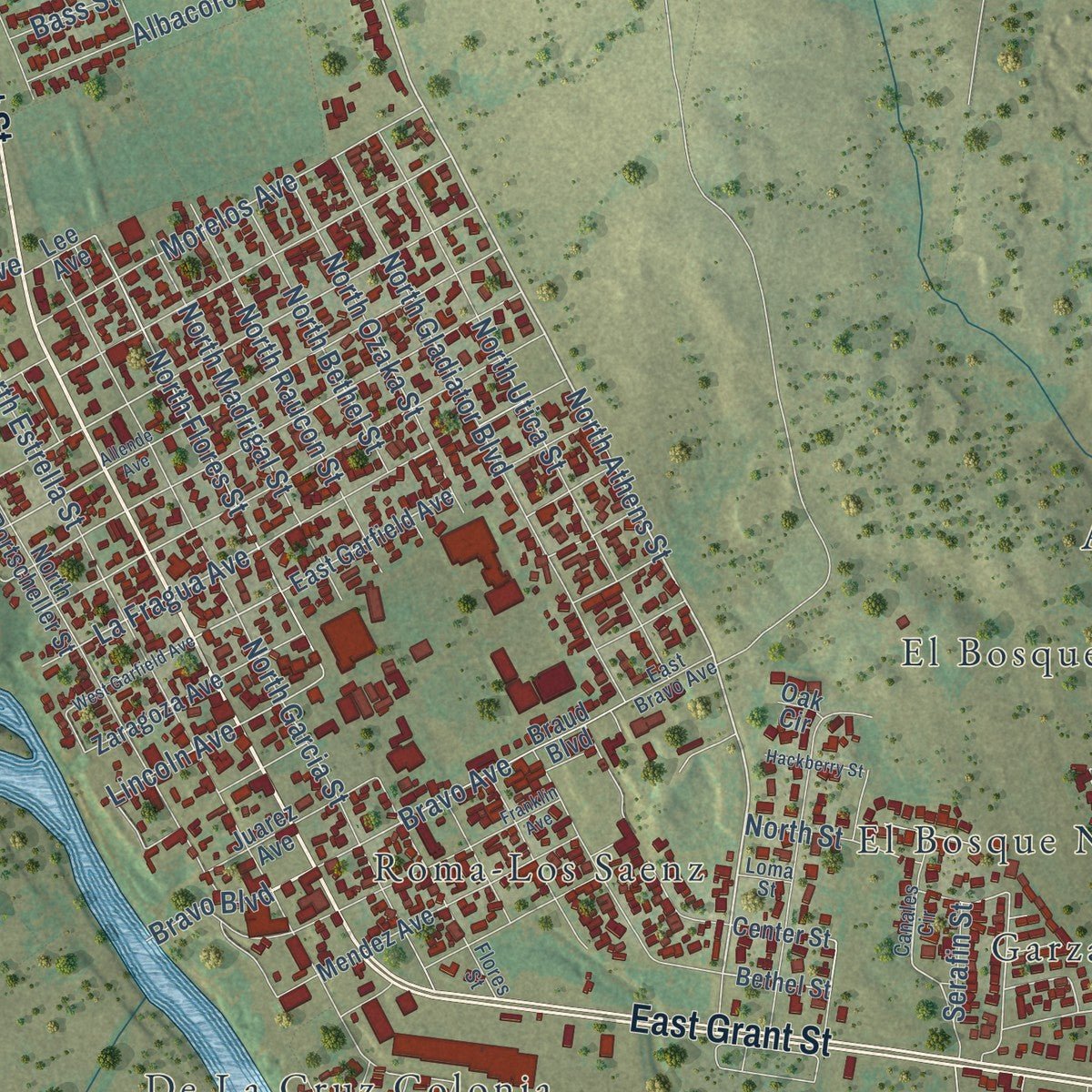 Close-up of the map of Roma, Texas print showing street and building detail