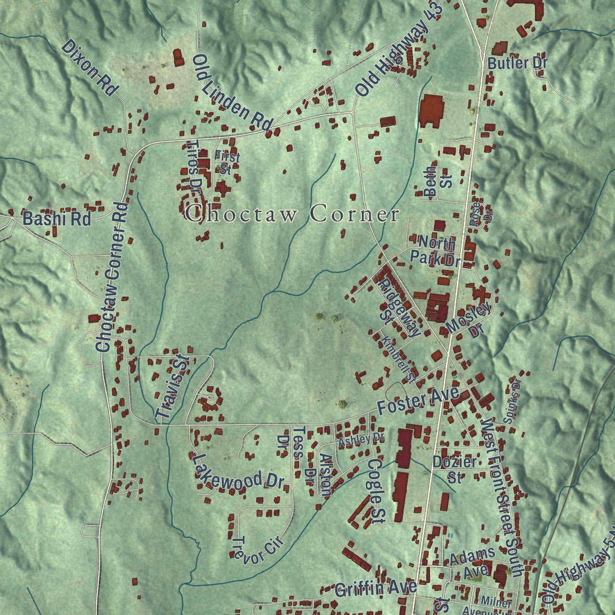 Close-up of the map of Thomasville, Alabama print showing street and building detail