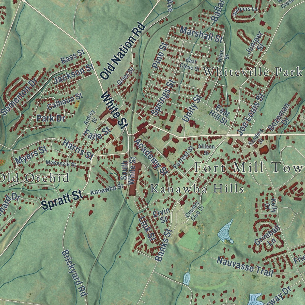 Close-up of the map of Fort Mill, South Carolina print showing street and building detail