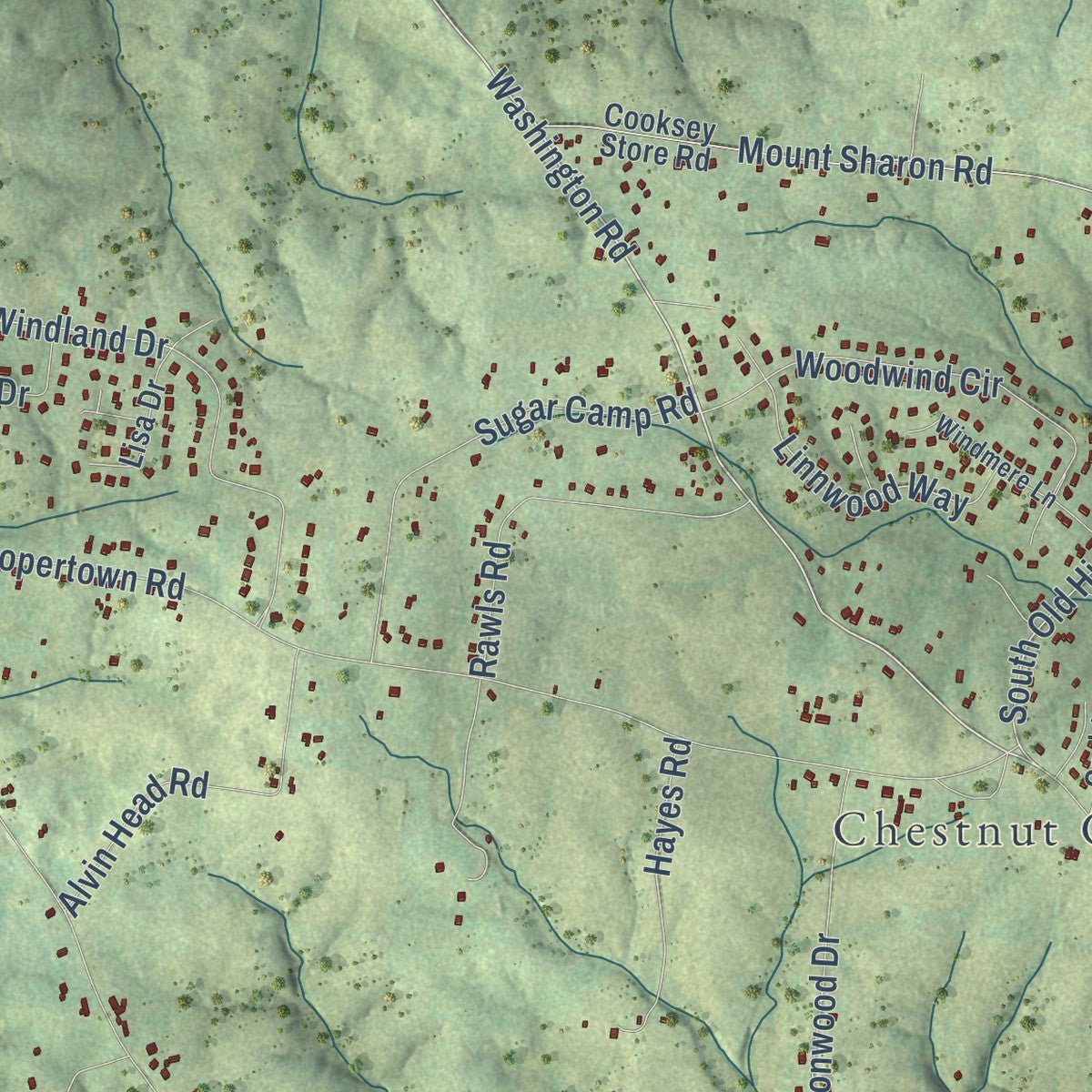Close-up of the map of Coopertown, Tennessee print showing street and building detail