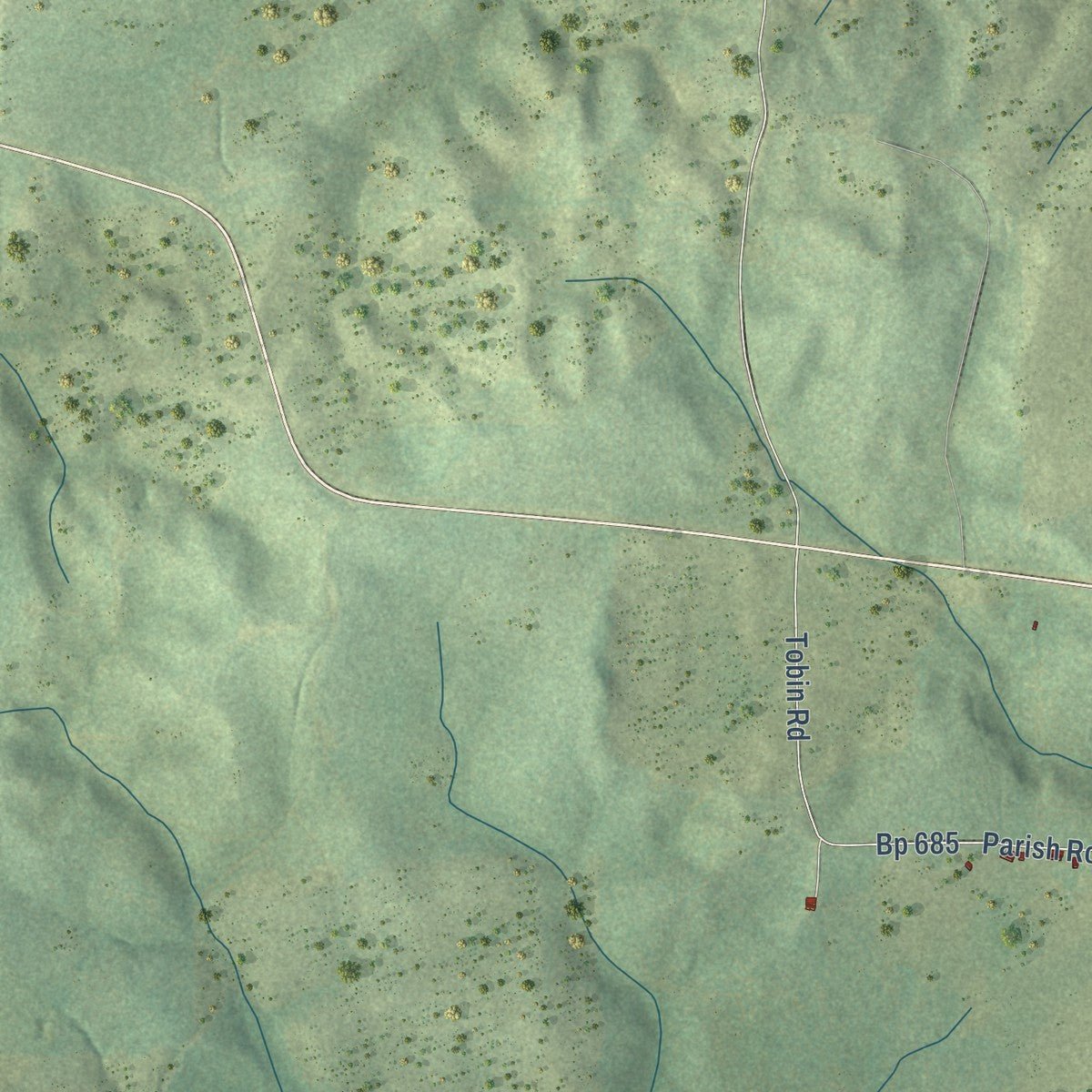 Close-up of the map of Lucky, Louisiana print showing street and building detail