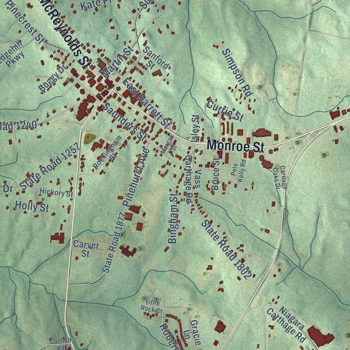 Close-up of the map of Carthage, North Carolina print showing street and building detail