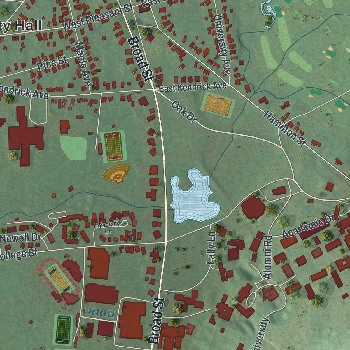 Close-up of the map of the Village of Hamilton, New York print showing street and building detail
