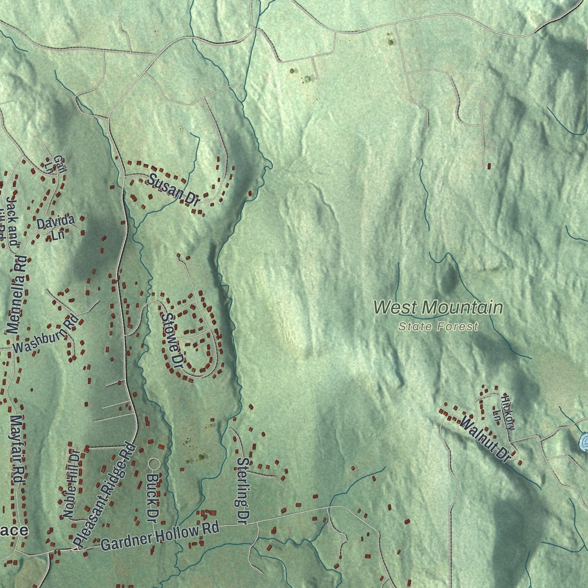 Close-up of the map of Beekman, New York print showing street and building detail