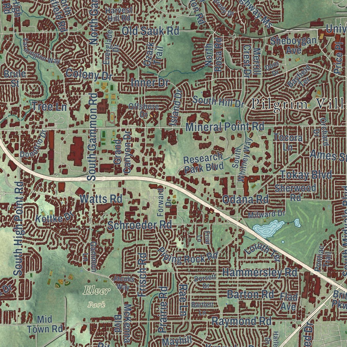 Close-up of the map of Madison, Wisconsin print showing street and building detail