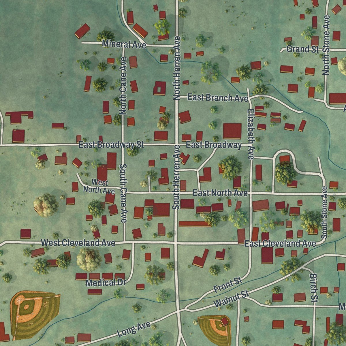 Close-up of the map of Ellsinore, Missouri print showing street and building detail
