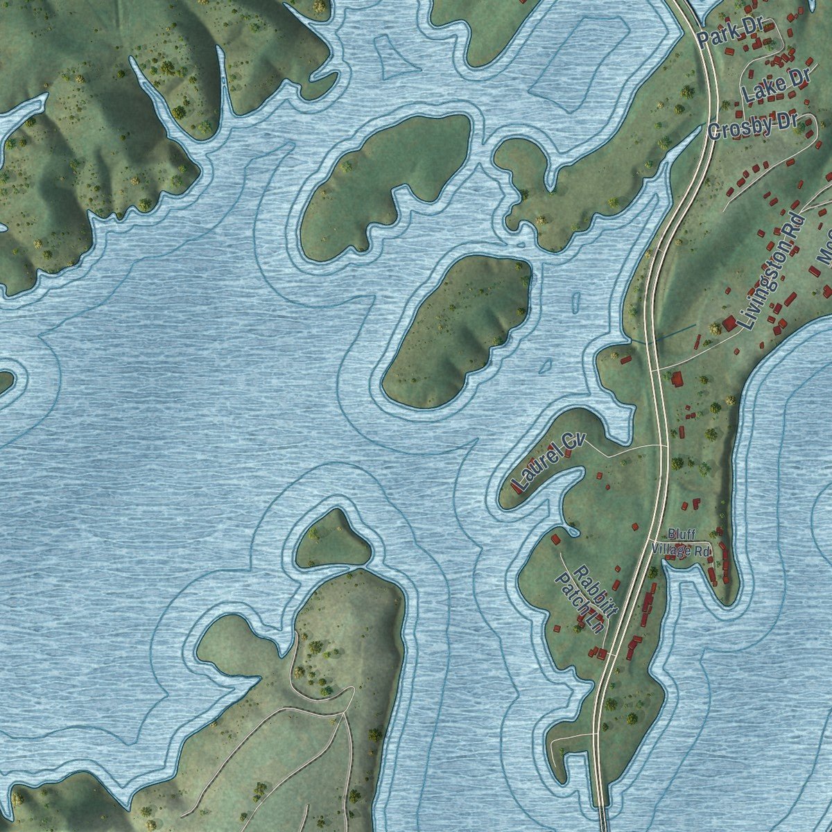 Close-up of the map of Bean Station, Tennessee print showing street and building detail