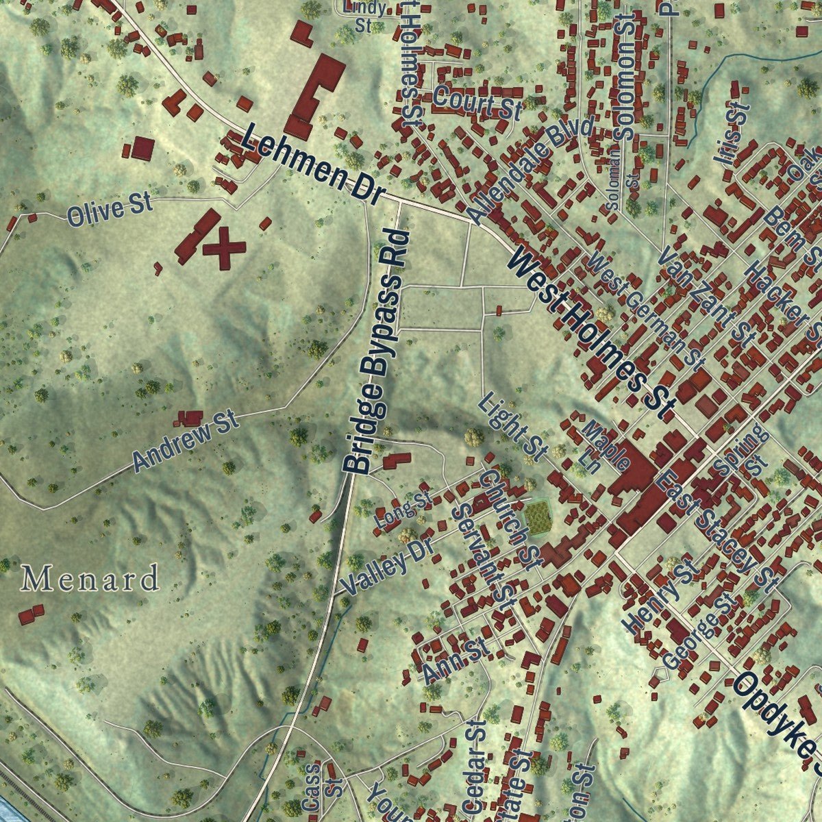 Close-up of the map of Chester, Illinois print showing street and building detail