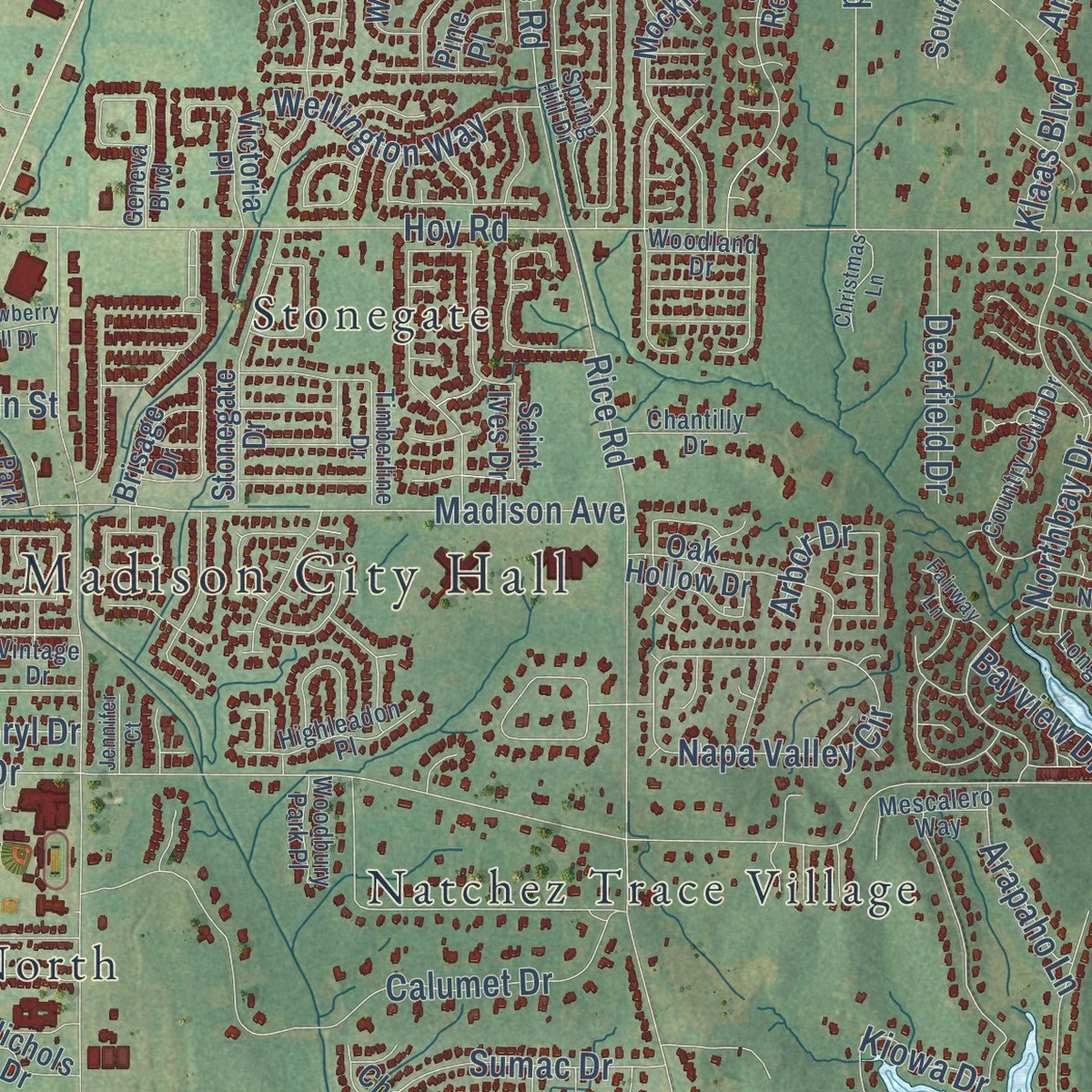 Close-up of the map of Madison, Mississippi print showing street and building detail