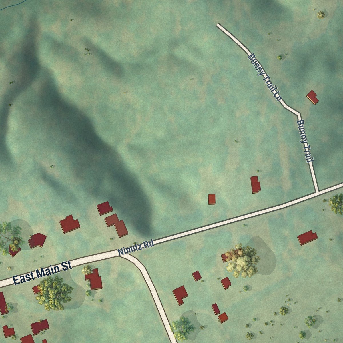 Close-up of the map of Smyrna, South Carolina print showing street and building detail