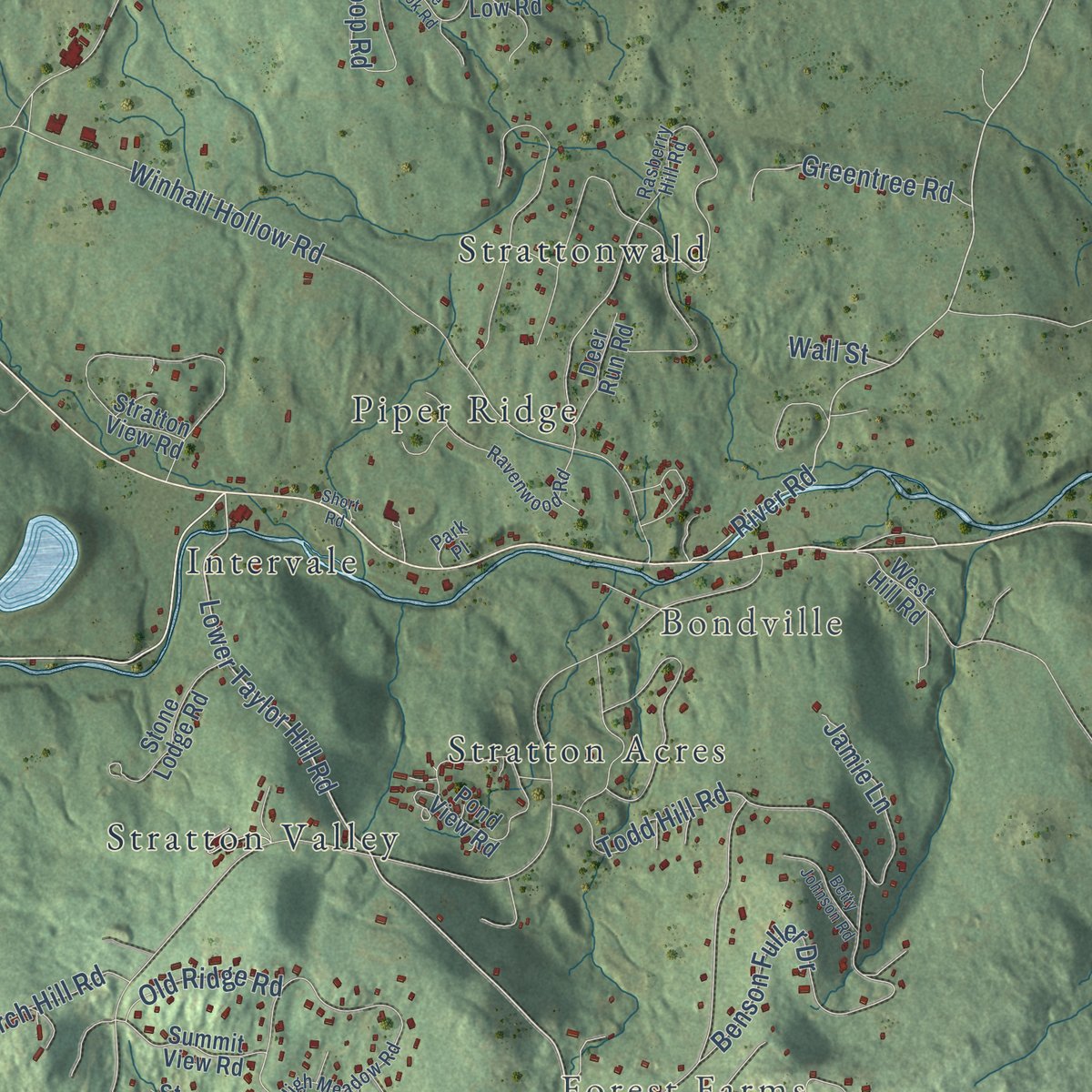 Close-up of the map of Winhall, Vermont print showing street and building detail