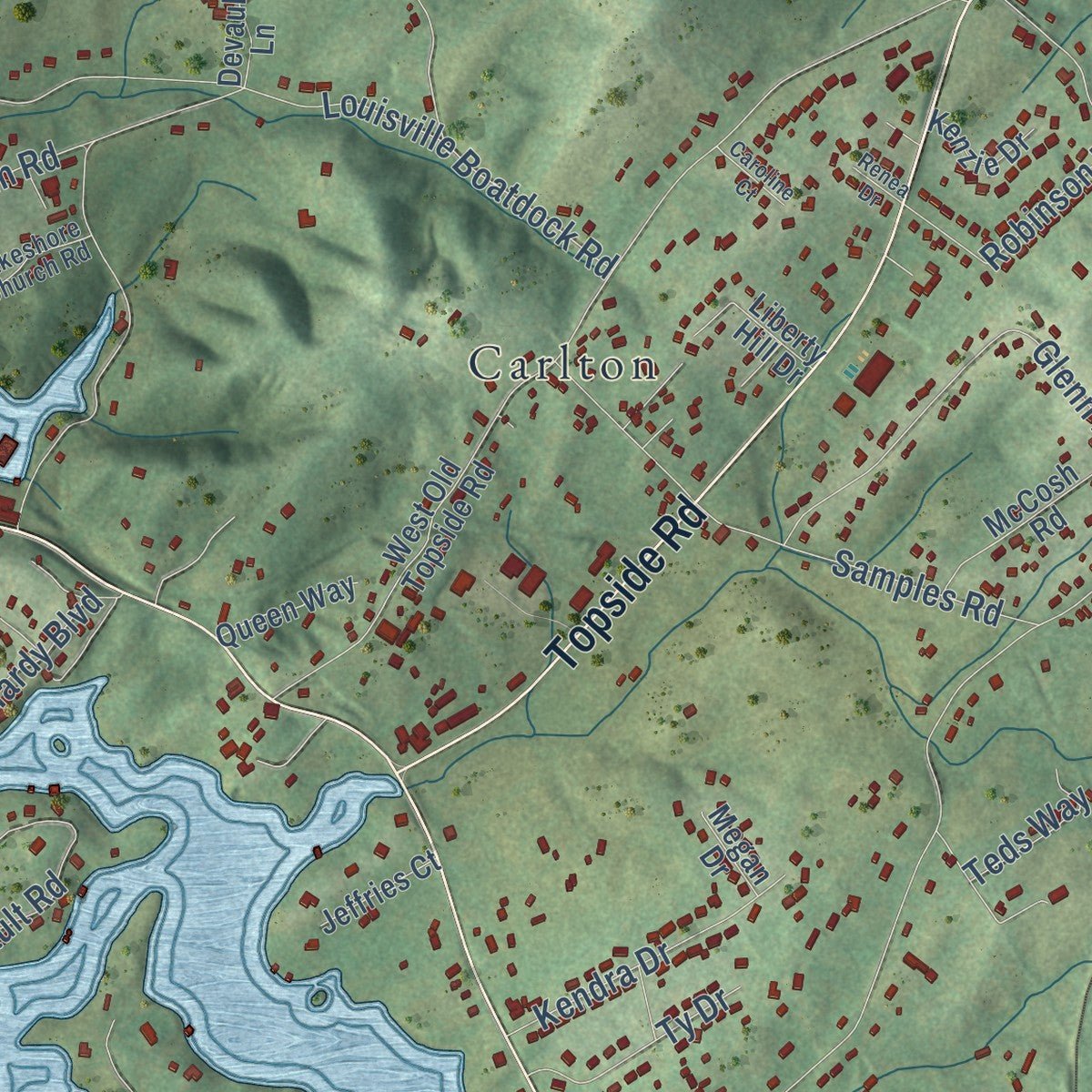 Close-up of the map of Louisville, Tennessee print showing street and building detail