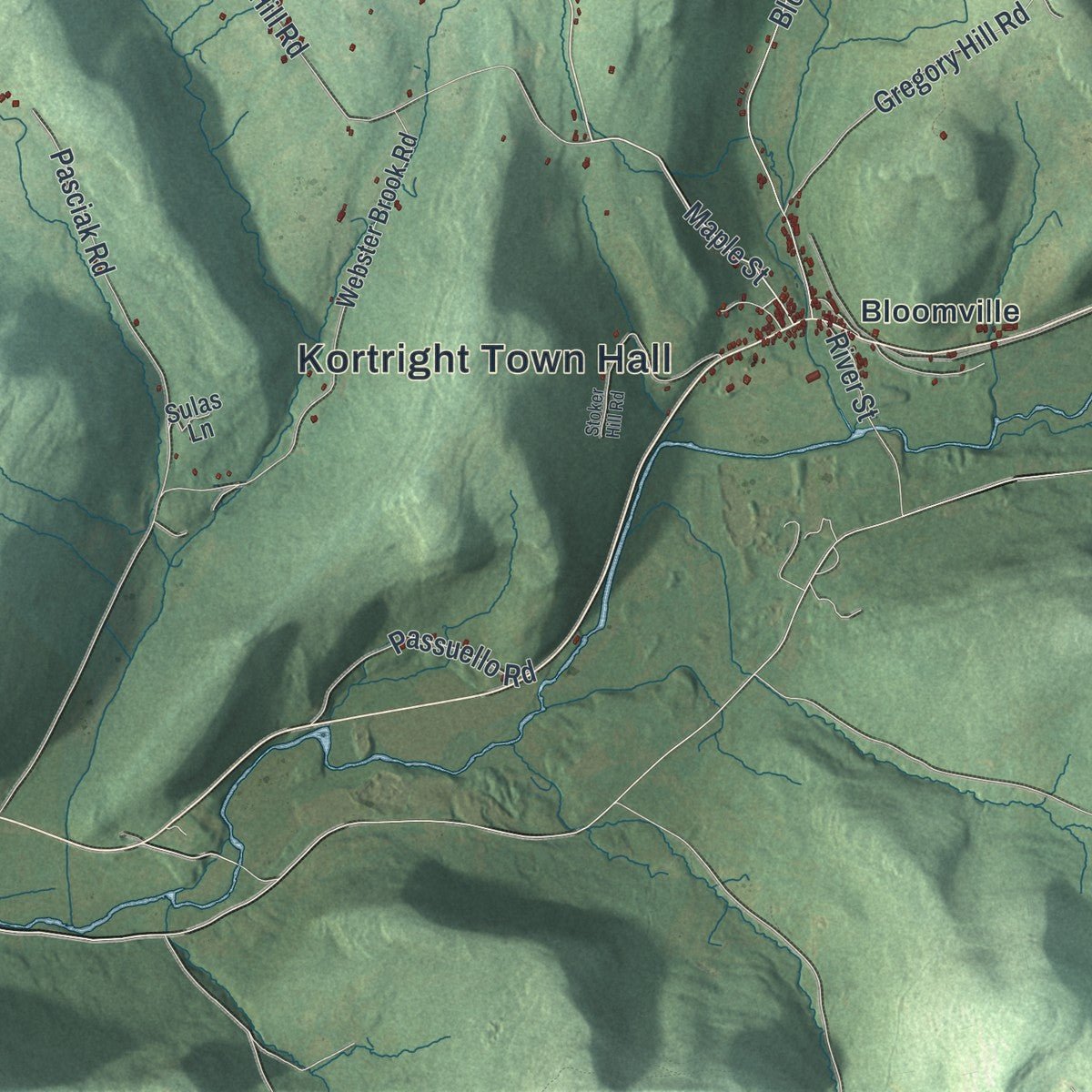 Close-up of the map of Kortright, New York print showing street and building detail