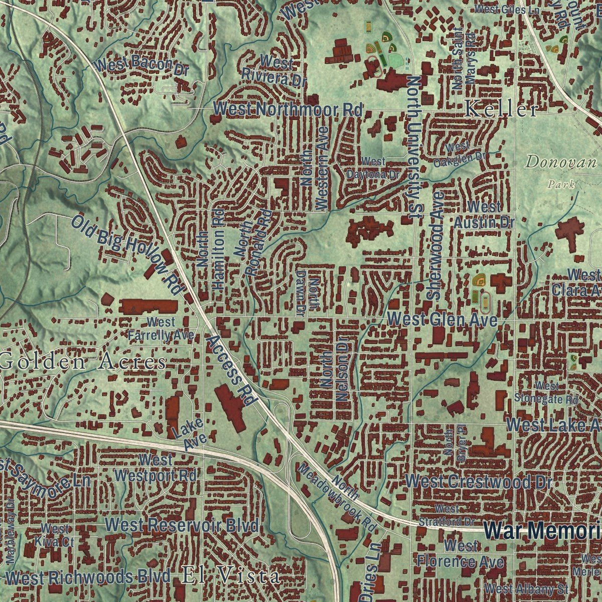 Close-up of the map of Peoria, Illinois print showing street and building detail