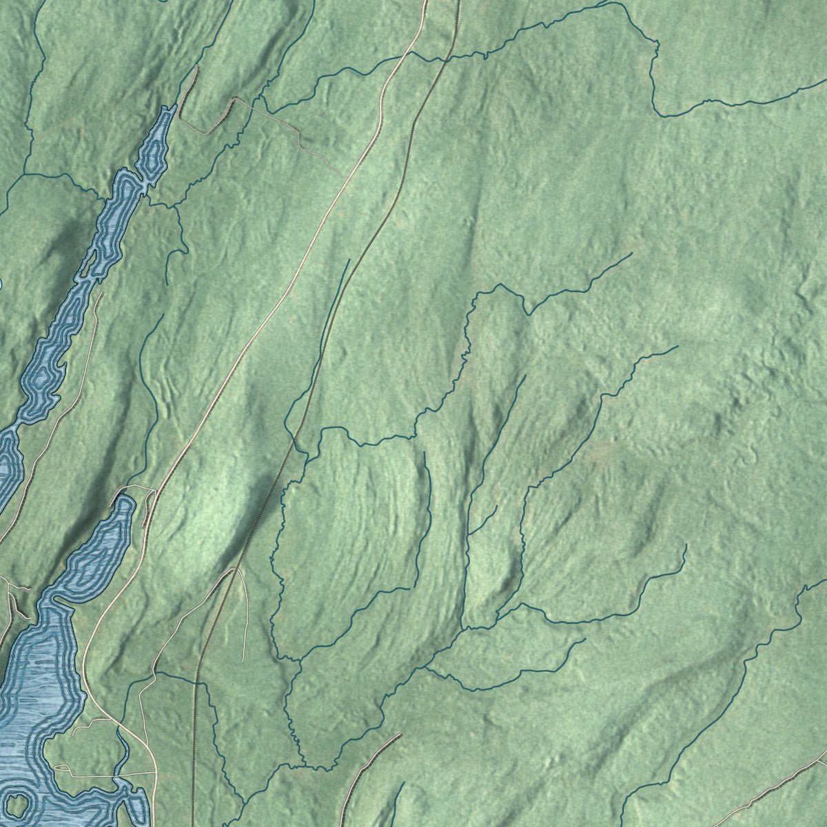 Close-up of the map of Lyonsdale, New York print showing street and building detail