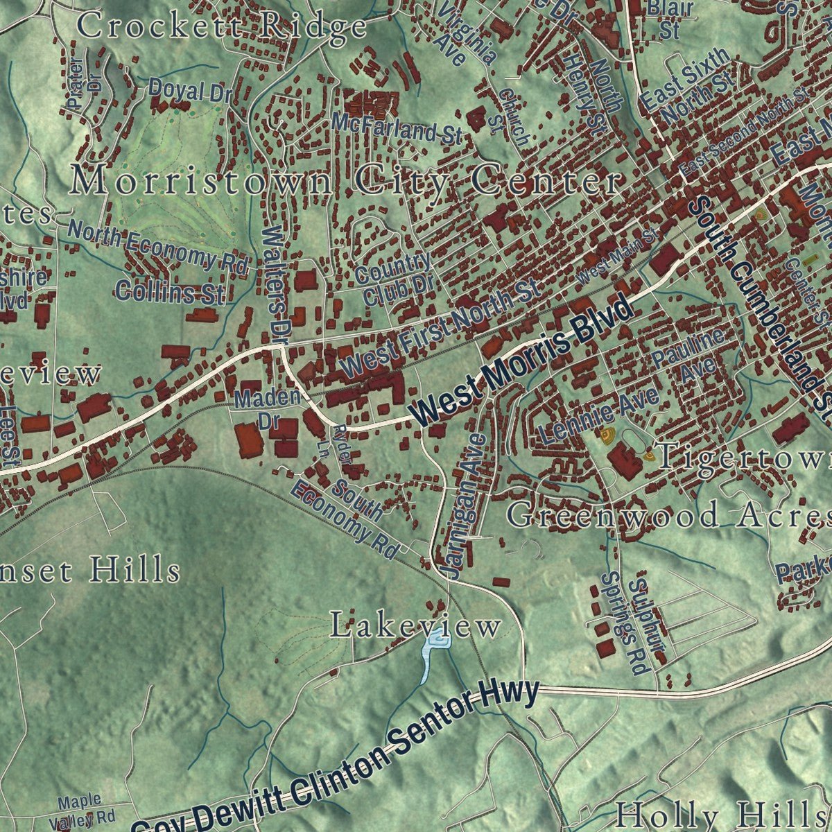 Close-up of the map of Morristown, Tennessee print showing street and building detail