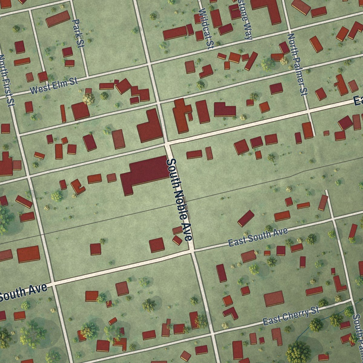 Close-up of the map of Noble, Illinois print showing street and building detail