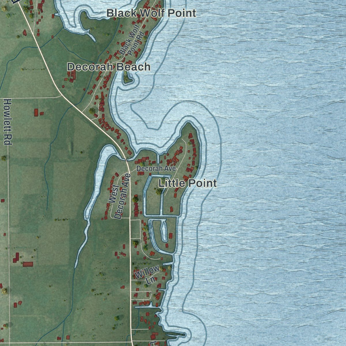 Close-up of the map of Black Wolf, Wisconsin print showing street and building detail