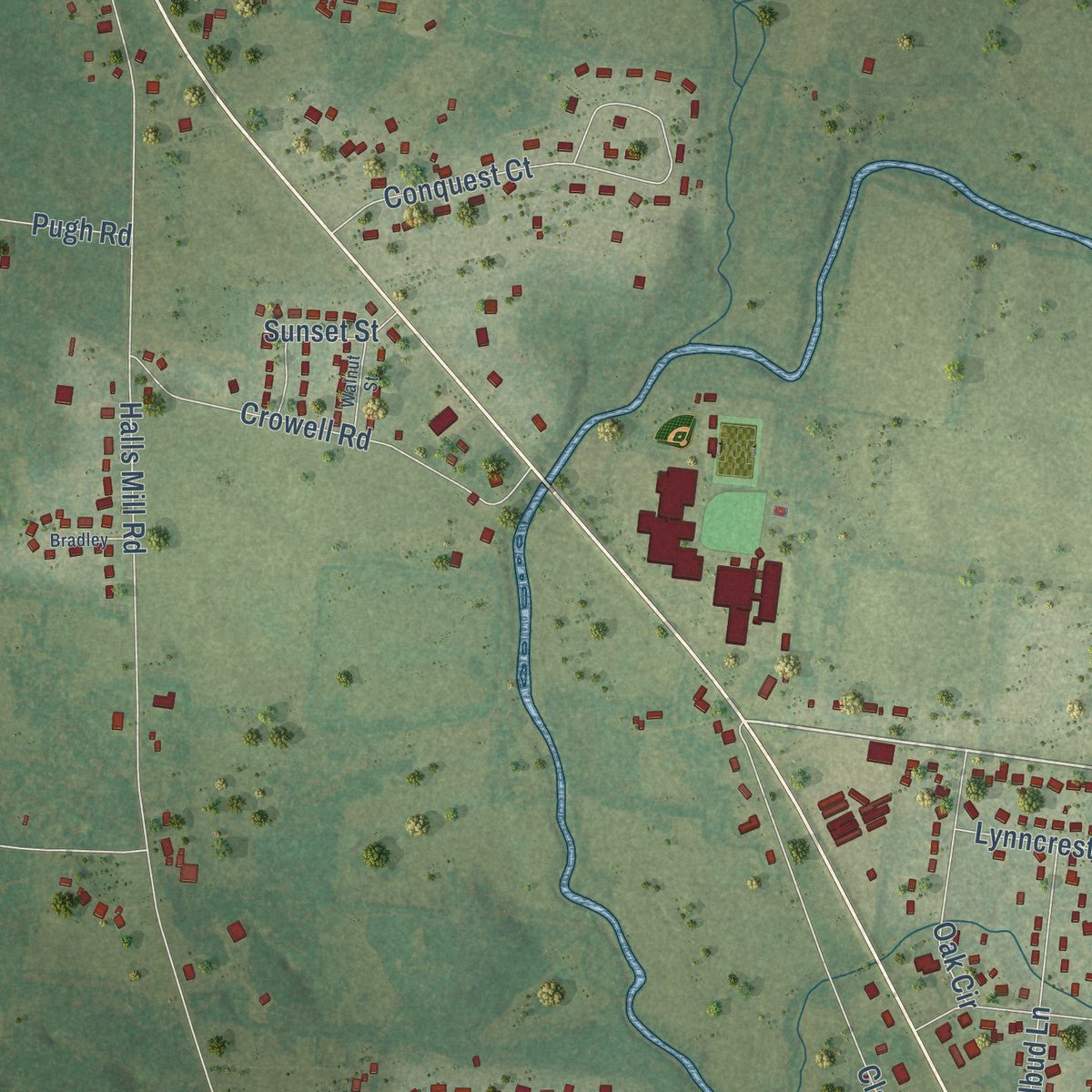 Close-up of the map of Unionville, Tennessee print showing street and building detail