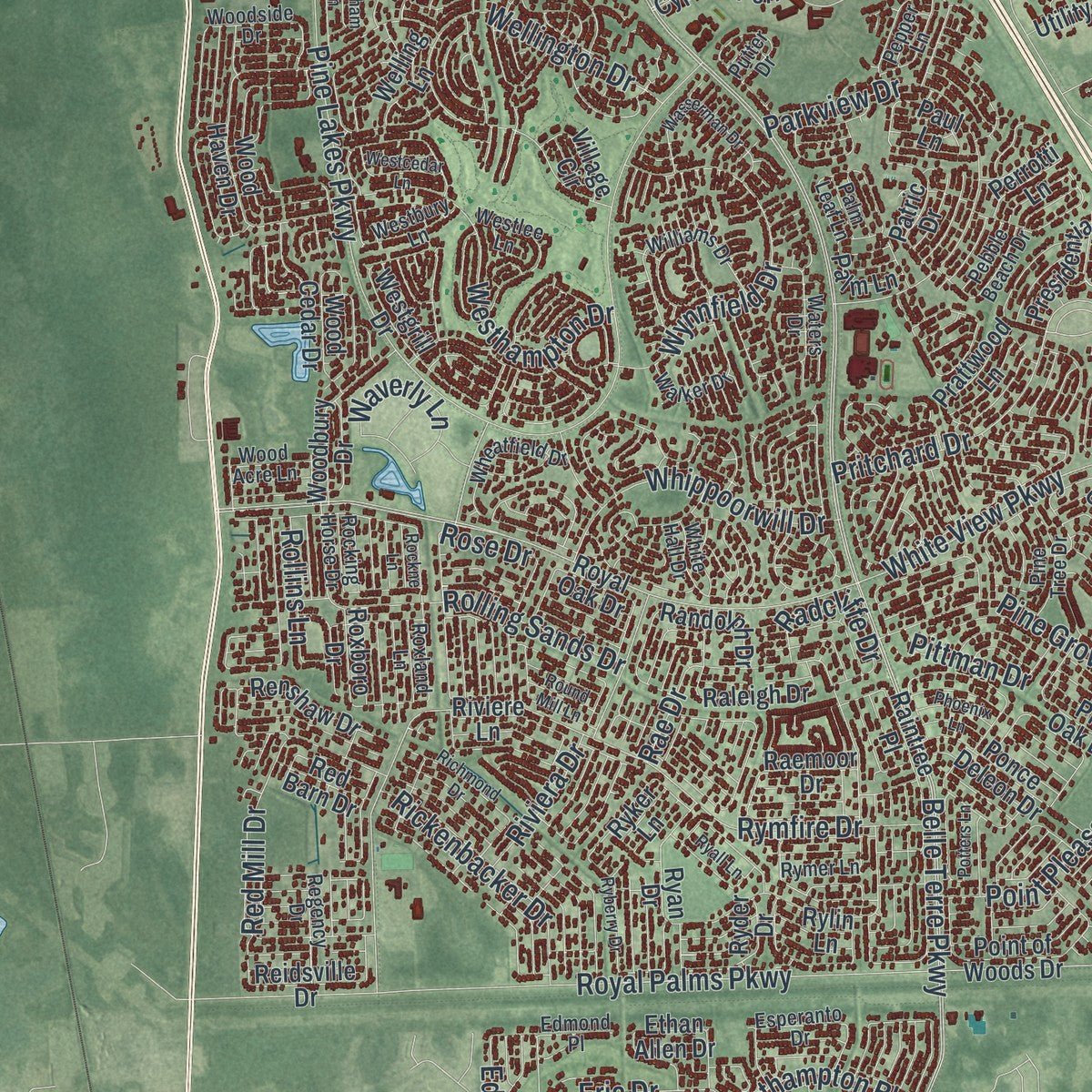 Close-up of the map of Palm Coast, Florida print showing street and building detail