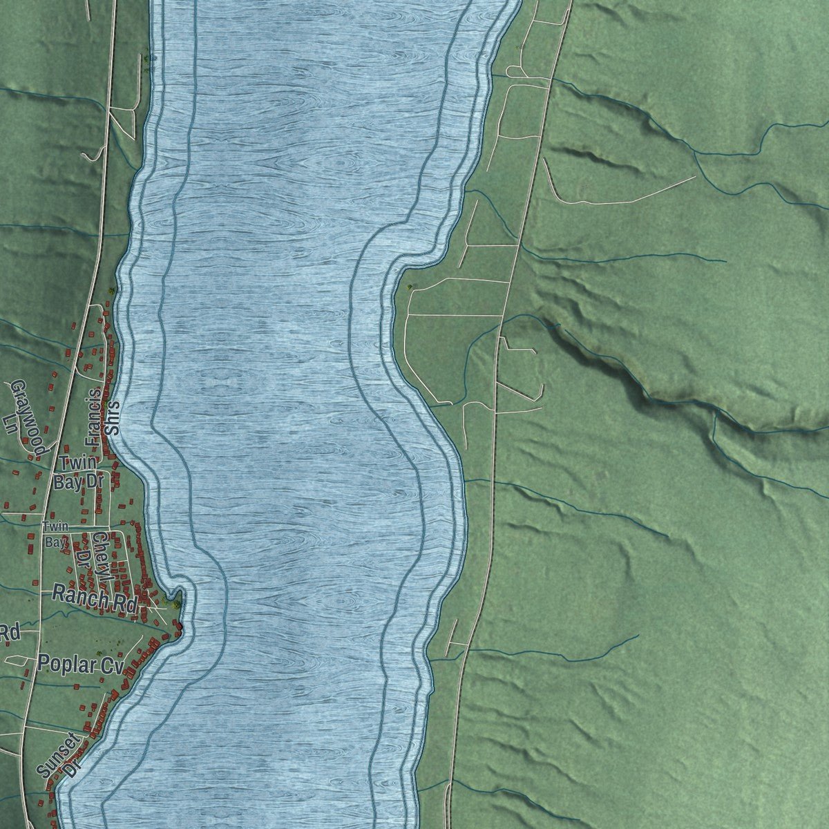 Close-up of the map of Canadice, New York print showing street and building detail