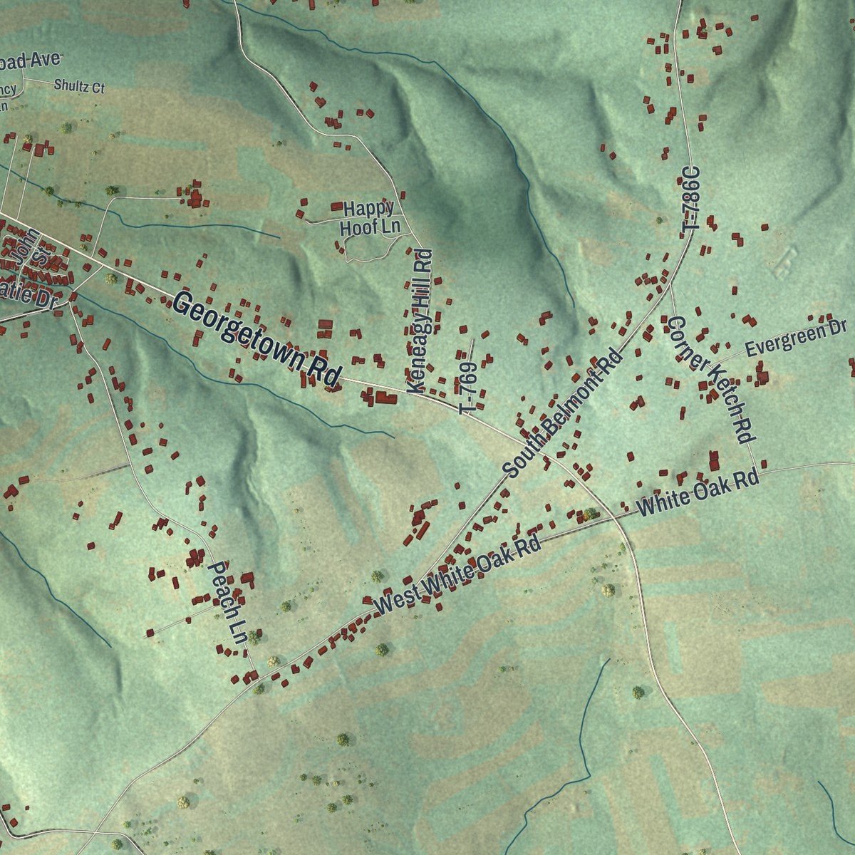 Close-up of the map of Paradise, Lancaster County, Pennsylvania print showing street and building detail
