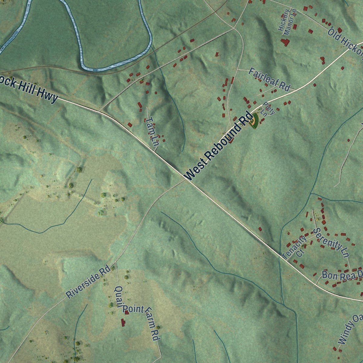Close-up of the map of Van Wyck, South Carolina print showing street and building detail
