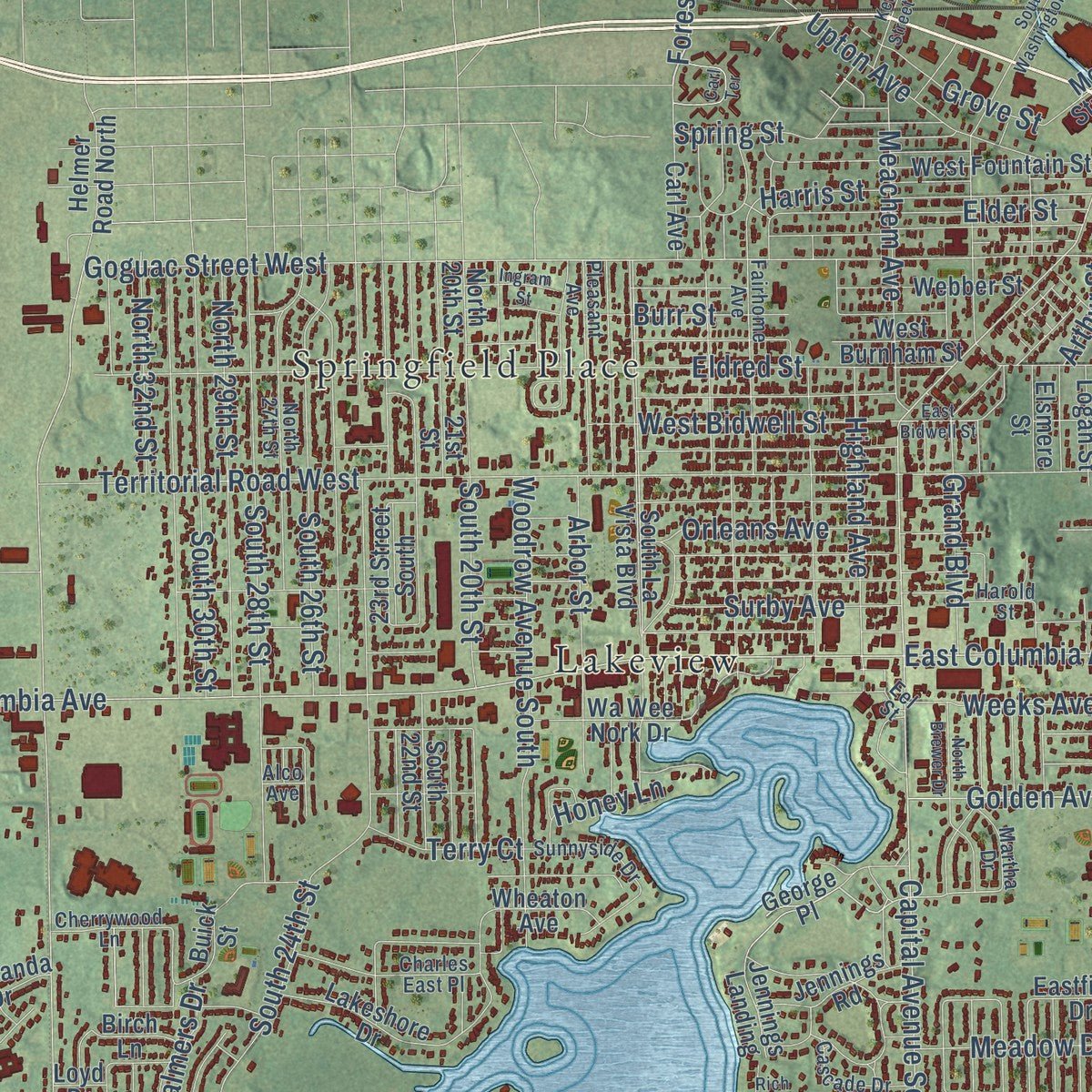 Close-up of the map of Battle Creek, Michigan print showing street and building detail