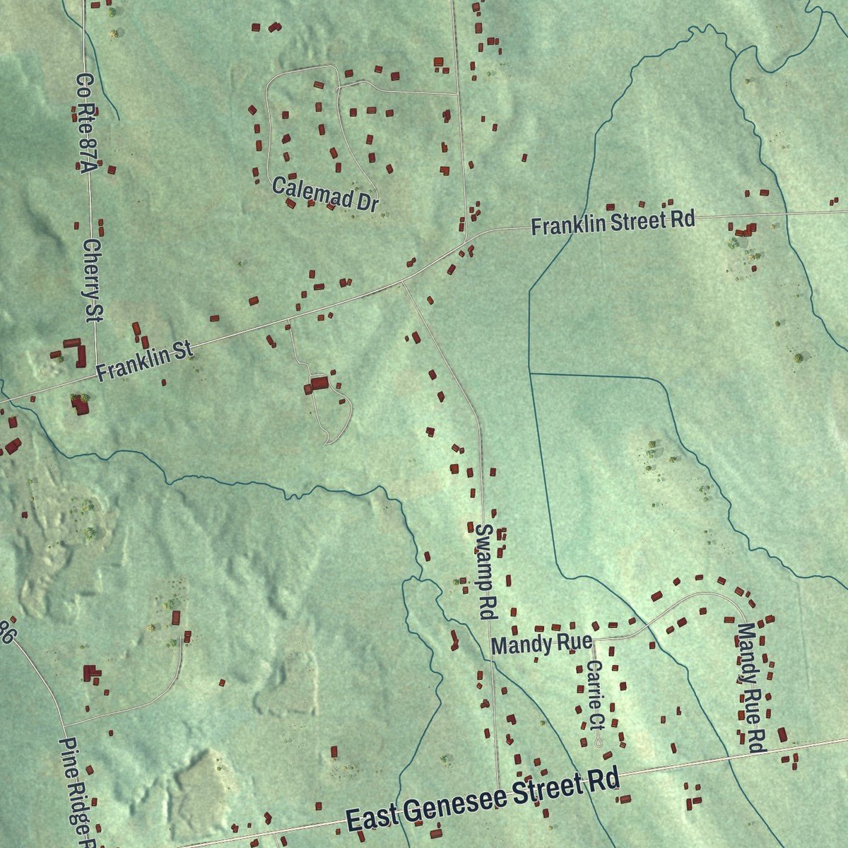 Close-up of the map of Sennett, New York print showing street and building detail