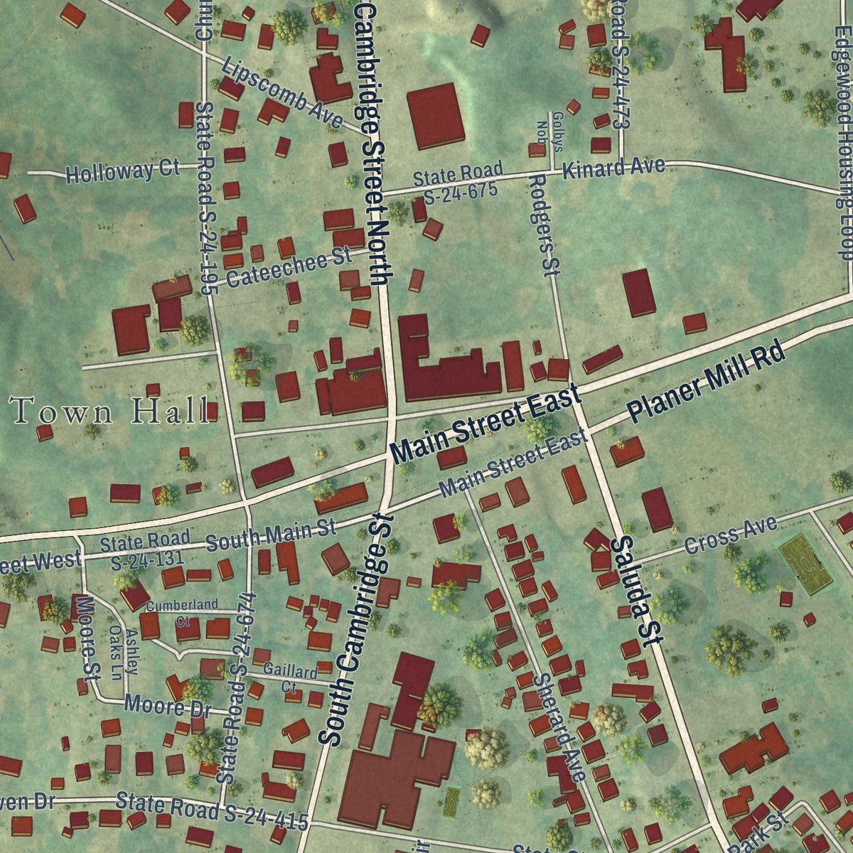 Close-up of the map of Ninety Six, South Carolina print showing street and building detail