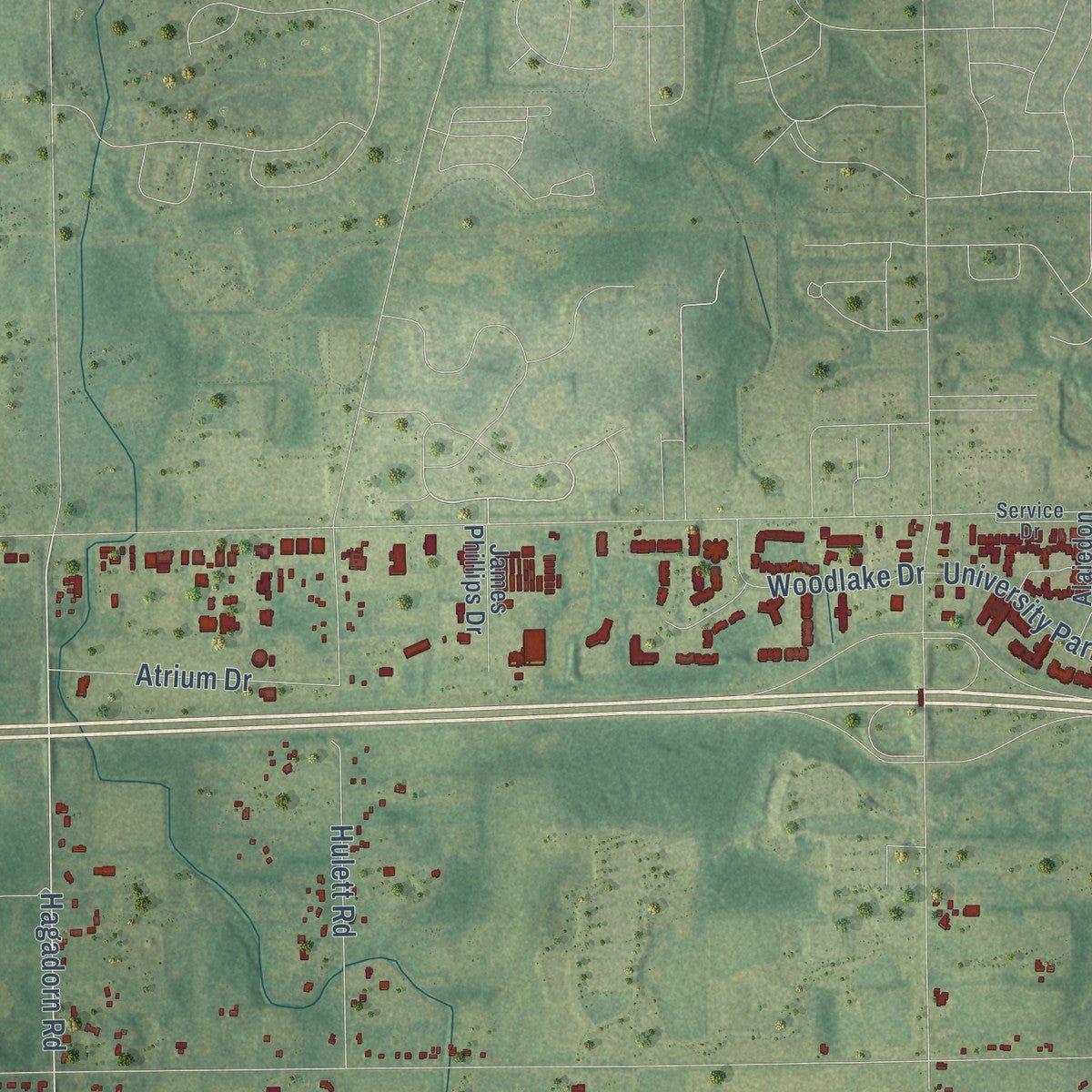 Close-up of the map of Alaiedon, Michigan print showing street and building detail