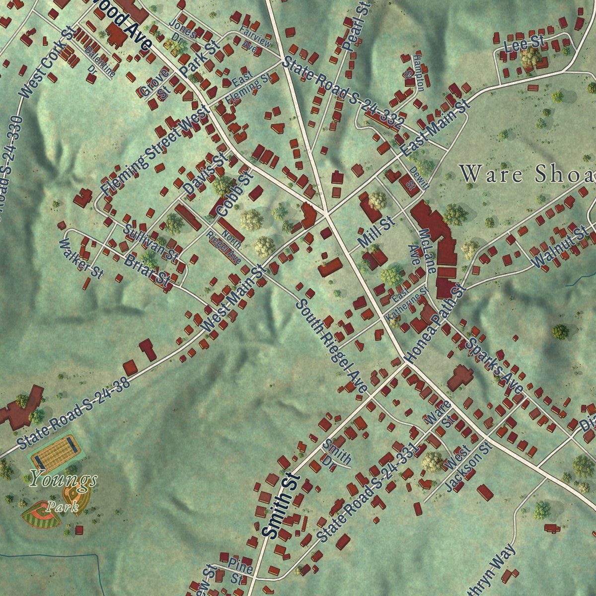 Close-up of the map of Ware Shoals, South Carolina print showing street and building detail