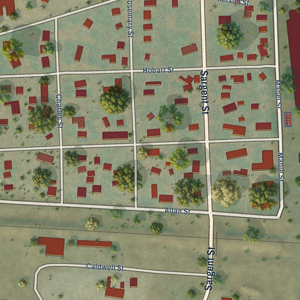 Close-up of the map of Nashua, Montana print showing street and building detail