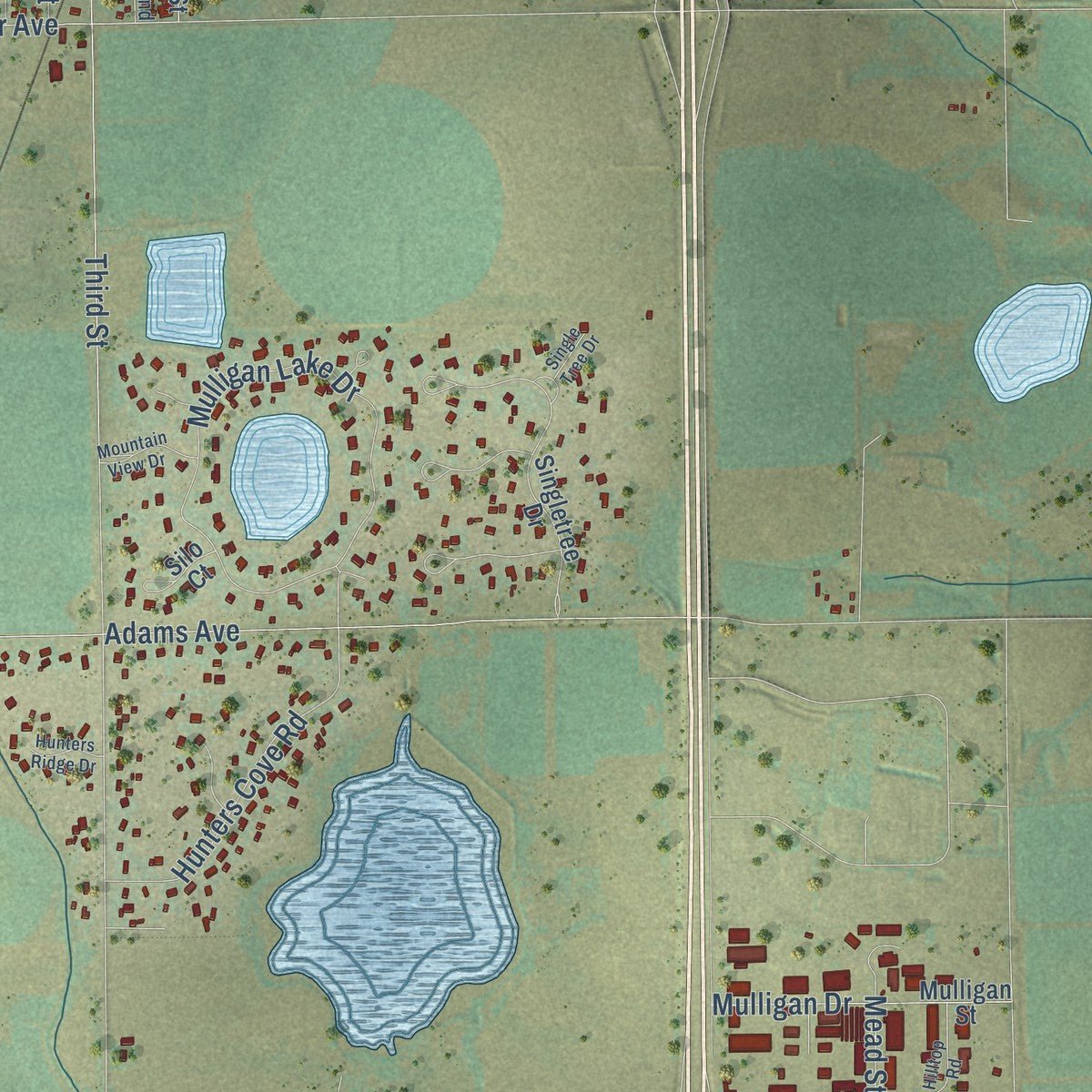 Close-up of the map of Mead, Colorado print showing street and building detail