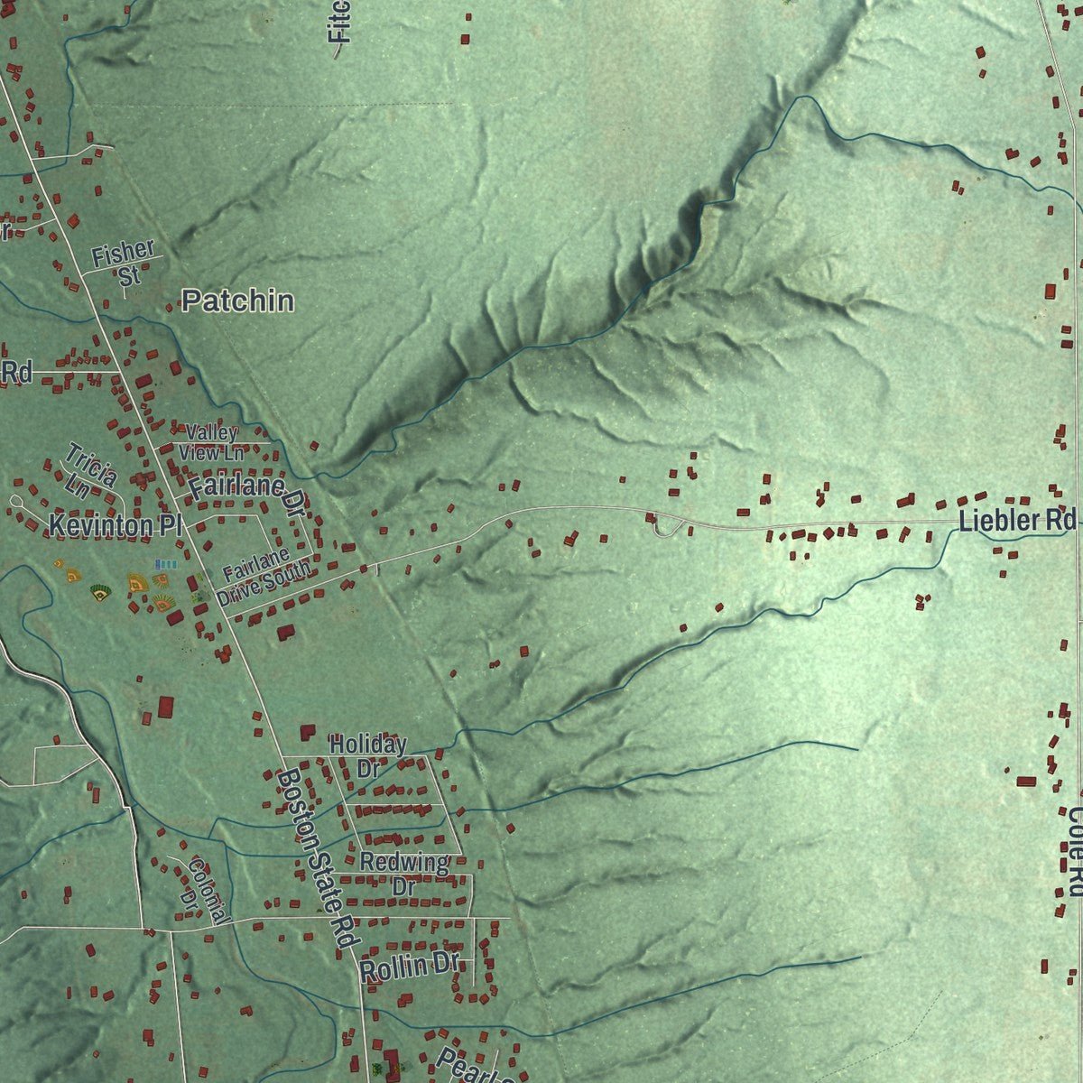 Close-up of the map of Boston, New York print showing street and building detail