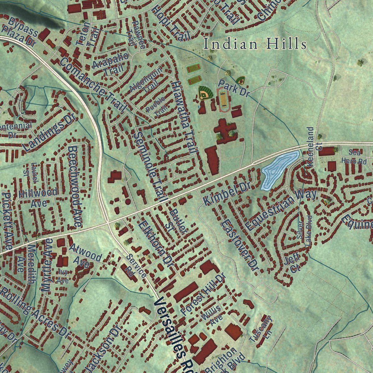 Close-up of the map of Frankfort, Kentucky print showing street and building detail